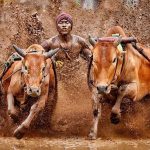 3D2N EXCITING PACU JAWI
